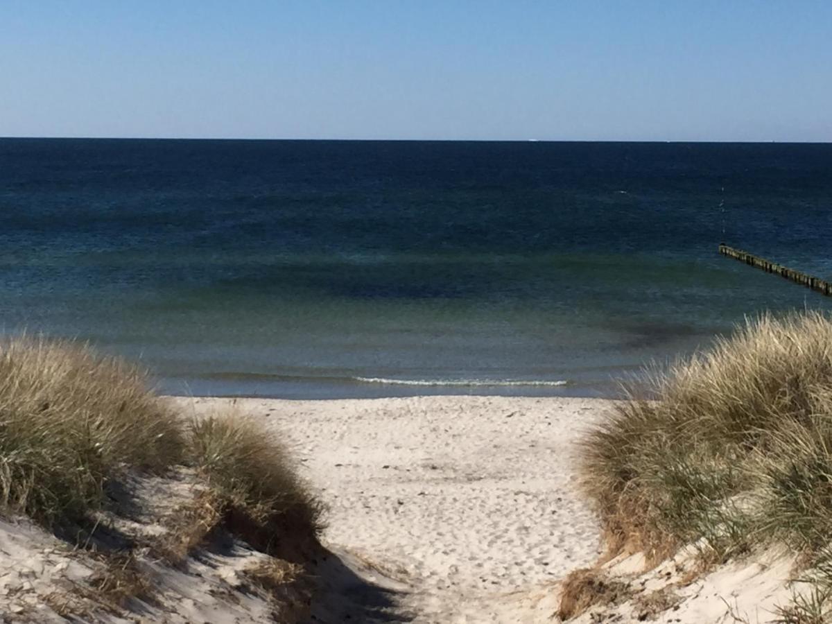 Die Kleine Acht - Direkt Am Strand Dierhagen Exteriör bild