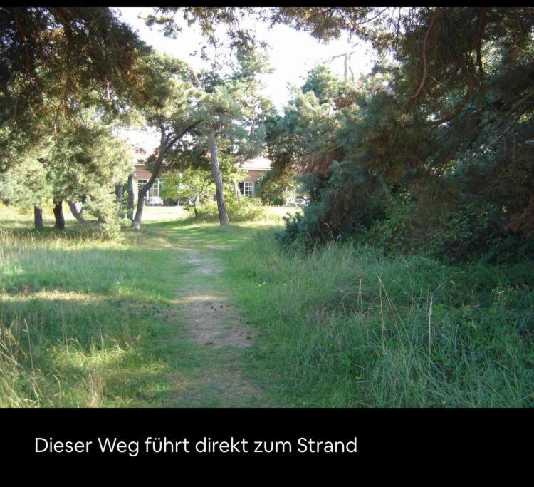 Die Kleine Acht - Direkt Am Strand Dierhagen Exteriör bild