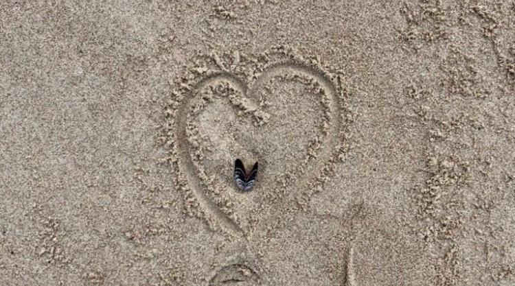Die Kleine Acht - Direkt Am Strand Dierhagen Exteriör bild
