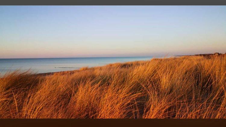 Die Kleine Acht - Direkt Am Strand Dierhagen Exteriör bild